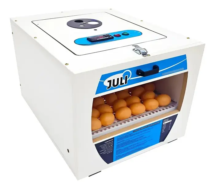 Chocadeira Automática Juli 70 Ovos C/ovoscopio - Chocmaster.